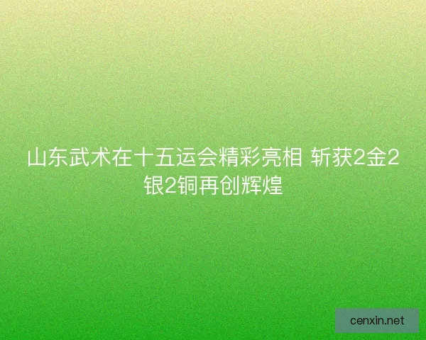 山东武术在十五运会精彩亮相 斩获2金2银2铜再创辉煌